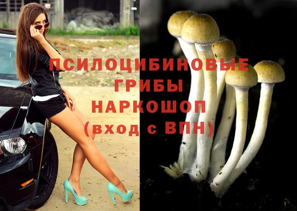 кокаин колумбия Белокуриха