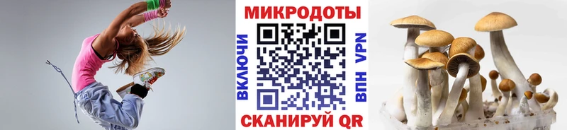 Псилоцибиновые грибы MAGIC MUSHROOMS Мурино